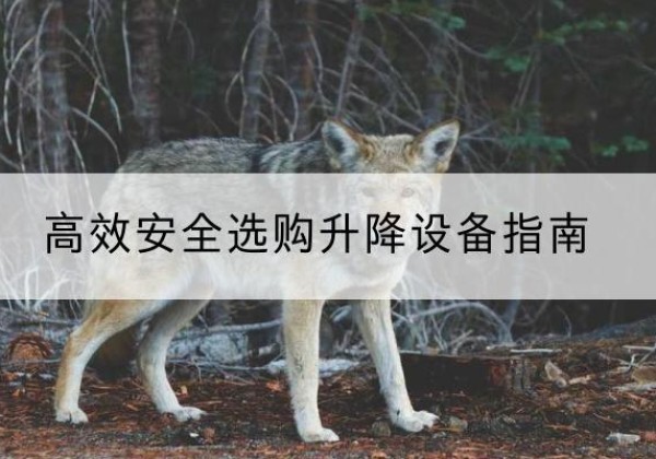 三门升降货梯厂家推荐-*安全选购升降设备指南