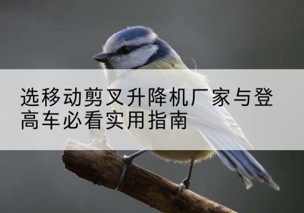 三门电动升降机厂家-选移动剪叉升降机厂家与登高车必看实用指南